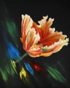 WAP_JCAT_Rembrandt_Tulpen_web