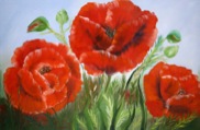 WAP_JCAT_Scarlet_Poppies_web