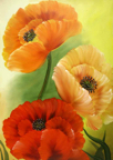 WAP_BB_2011_Mohnblueten_2