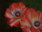 WAP_Mohnblumen